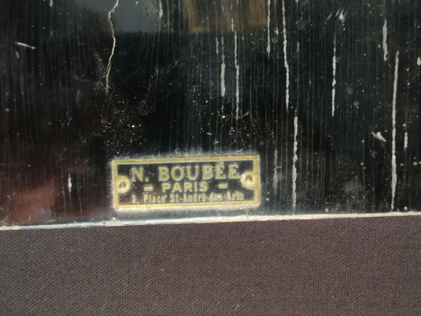 Squelette De Chat Par N Boubee