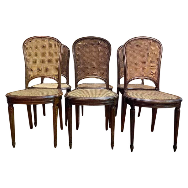 Suite di 6 sedie in stile Luigi XVI in Cannage - Canes