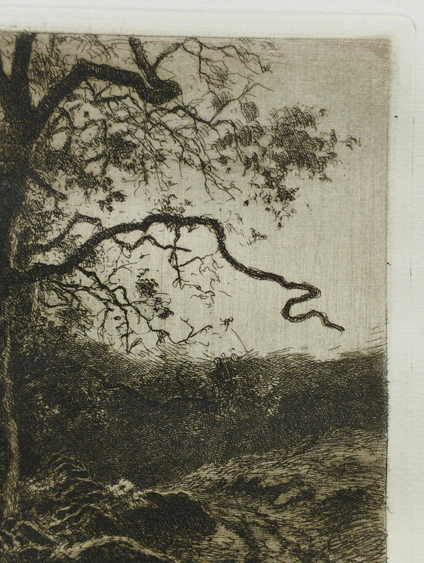 Etching by Eugène Viala - etcher from Aveyron