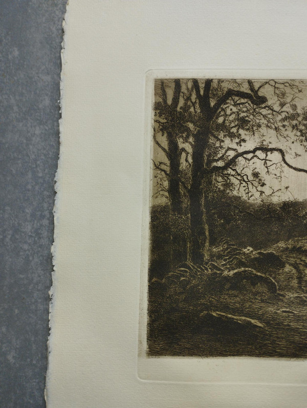 Etching by Eugène Viala - etcher from Aveyron