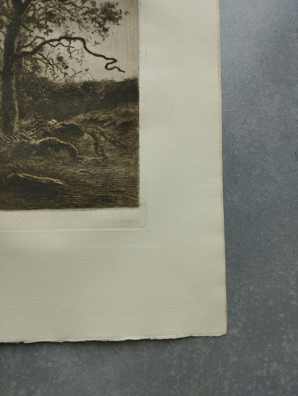 Etching by Eugène Viala - etcher from Aveyron