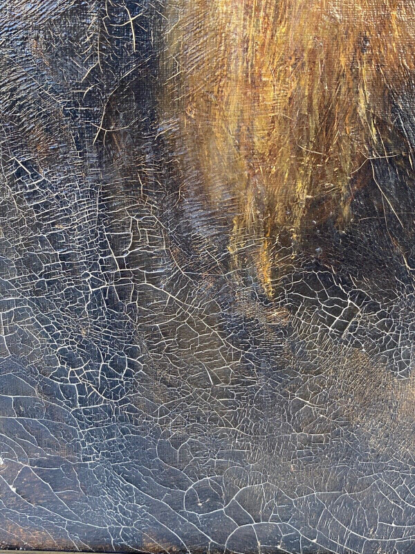Olio su tela uomo con barba 18° secolo cornice dorata