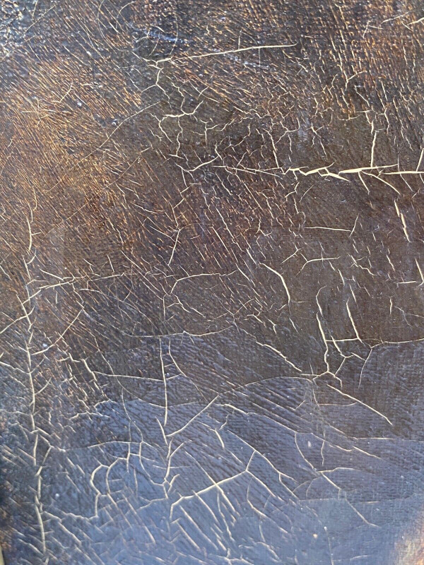 Olio su tela uomo con barba 18° secolo cornice dorata