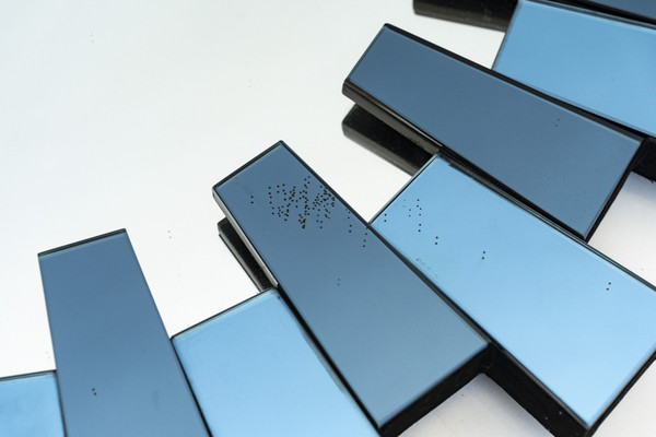 Miroir par Olivier de Schrijver