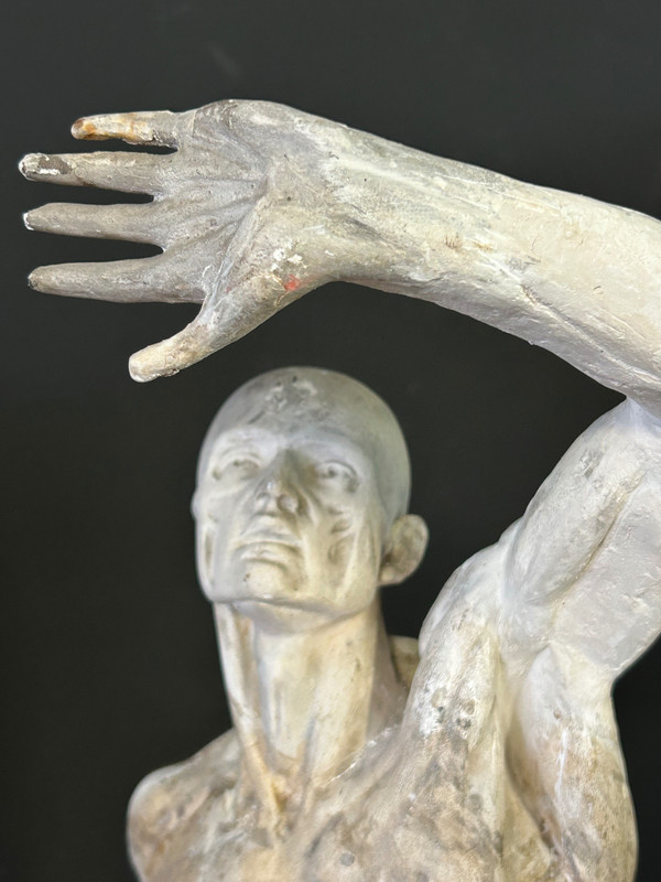 Jacques - Eugène Caudron ( 1818-1865) D'après - Sculpture écorché En Plâtre Cabinet Curiosité