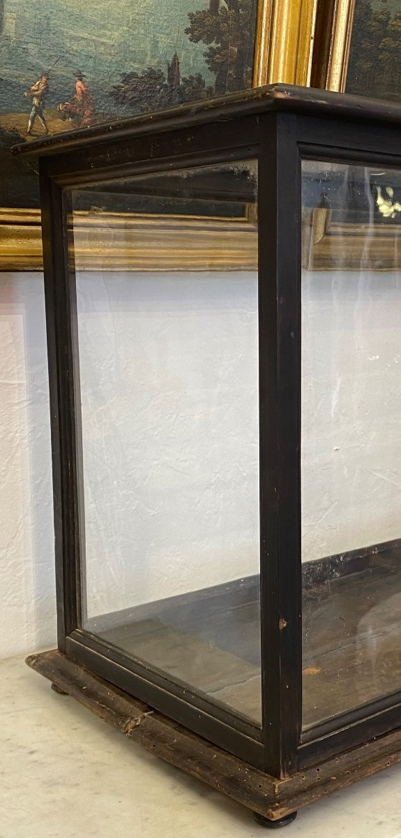 Vitrine De Présentation - Verre Et Bois - France - XIX ème
