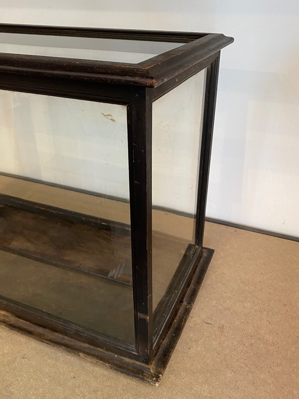 Vitrine De Présentation - Verre Et Bois - France - XIX ème
