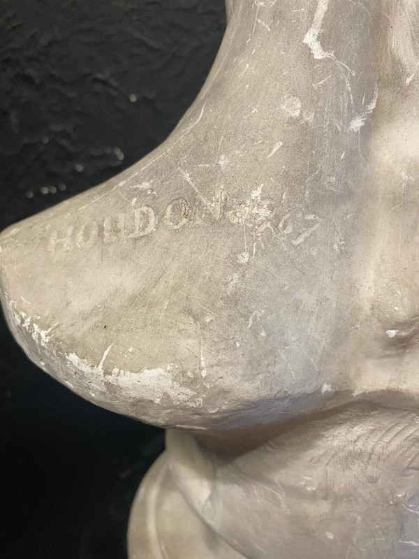 Busto scorticato - Gesso - Houdon - Francia - XIX secolo