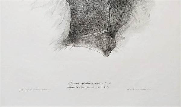 Grévedon Portrait De Femme Lithographie XIXème