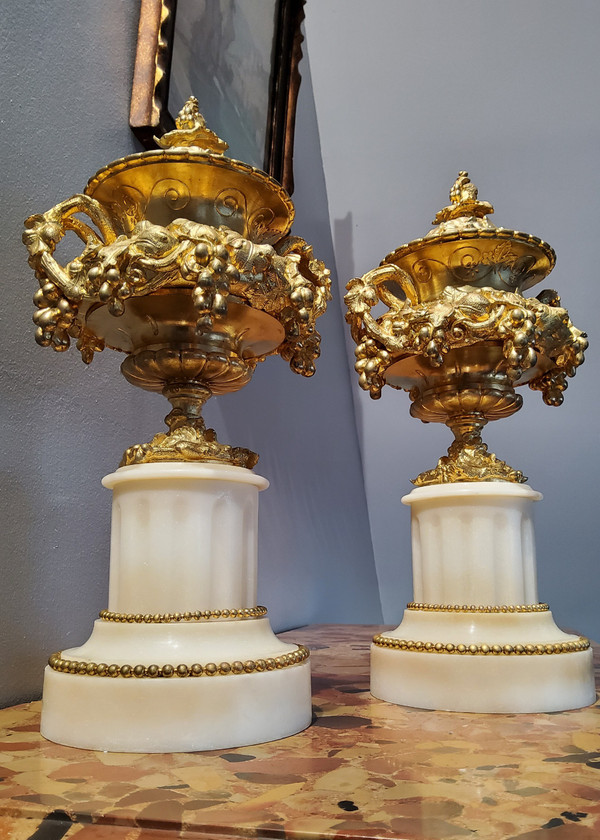 Pair of Cassolette Vases in Gilded Ciselated Bronzes with Pampers and Vines 19th century