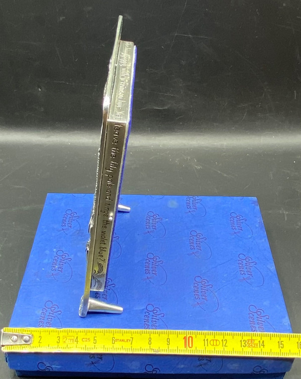 SILVER METAL FRAME