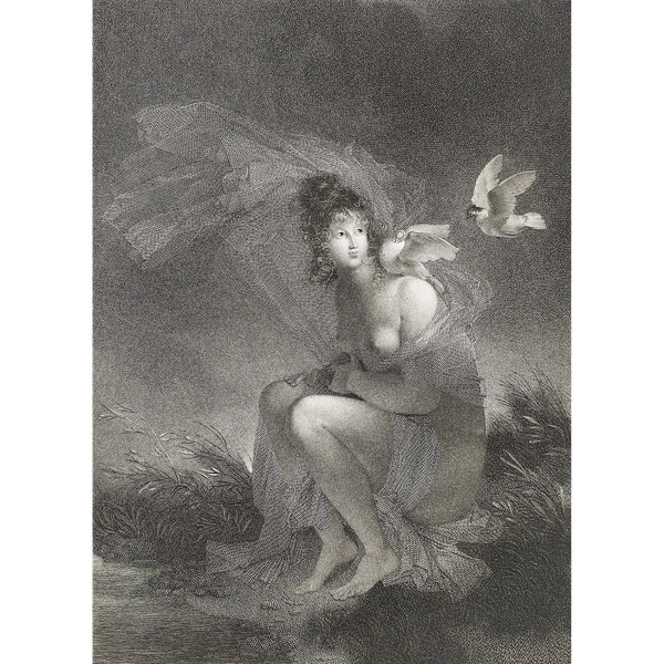 Etching Neoclassical Engraving Portrait Of A Lady Female Nude After Fragonard 19th C  Old Print