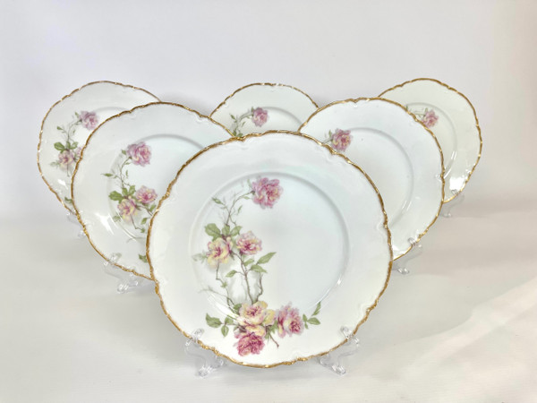 Set of 6 Haviland Limoges "Baltimore Rose" Dinner Plates
