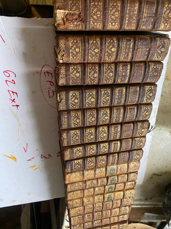 Set of 16 18th century bindings containing History of Louis XIII Sermons of Cochin and men Ill.