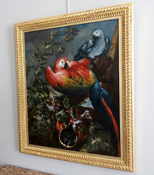 Holländische Schule des 17. Jahrhunderts, Papagei und Sittich, HST Mathias Whithoos zugeschrieben - 93,5cm x 109cm