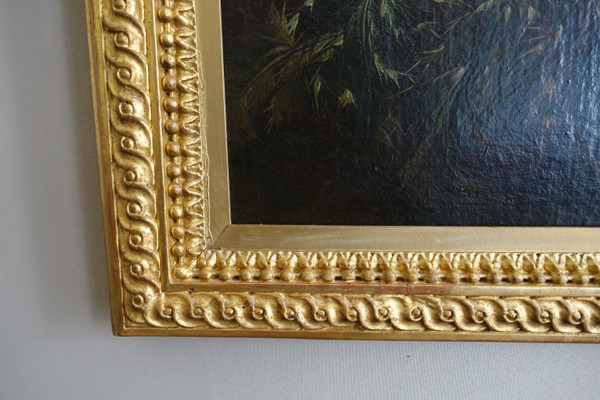 Holländische Schule des 17. Jahrhunderts, Papagei und Sittich, HST Mathias Whithoos zugeschrieben - 93,5cm x 109cm