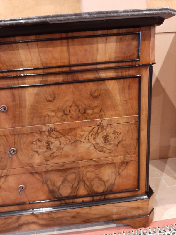 Louis Philippe Burr Walnut Chest of Drawers - 19th century