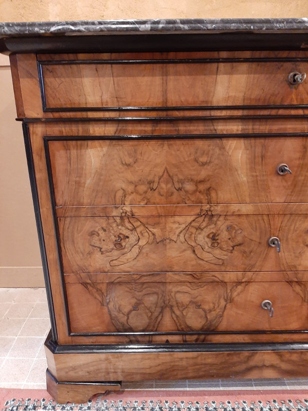 Louis Philippe Burr Walnut Chest of Drawers - 19th century