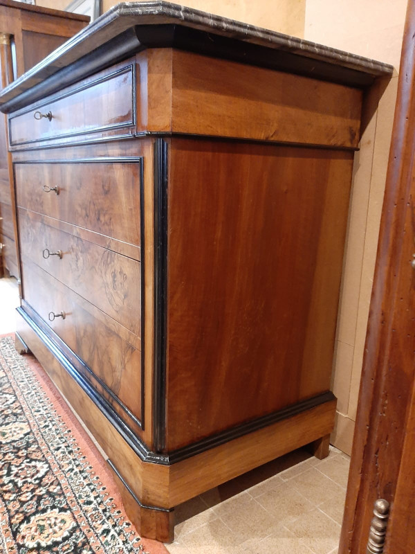 Louis Philippe Burr Walnut Chest of Drawers - 19th century