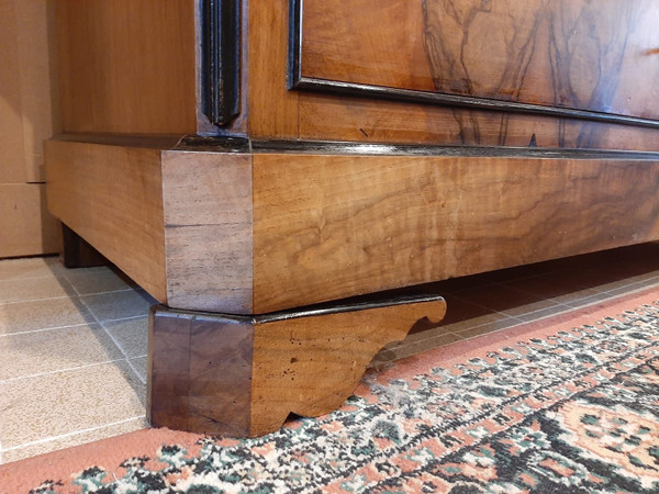 Louis Philippe Burr Walnut Chest of Drawers - 19th century