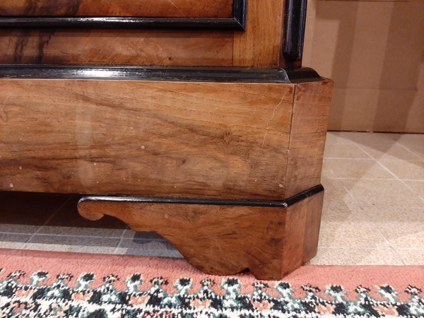 Louis Philippe Burr Walnut Chest of Drawers - 19th century
