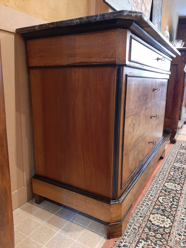 Louis Philippe Burr Walnut Chest of Drawers - 19th century