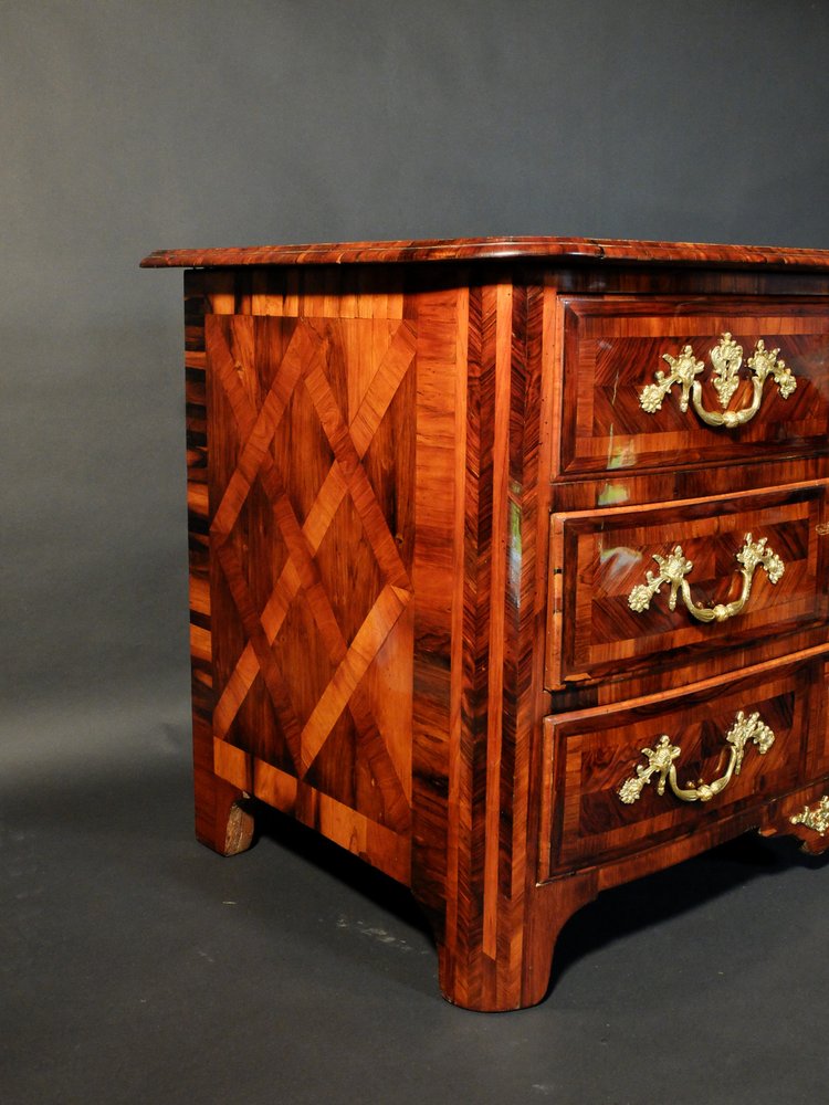 Kommode aus der Regency-Zeit aus violettem Holz 