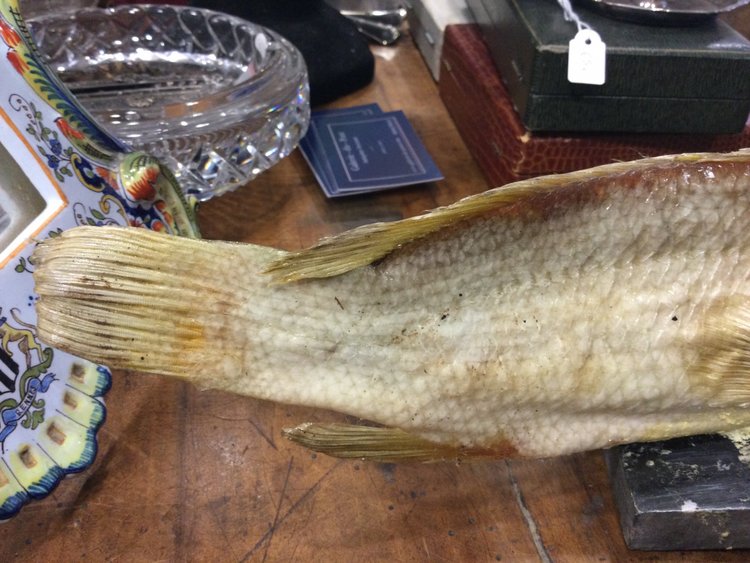 Stuffed fish