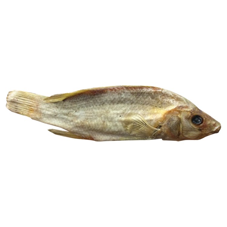 Stuffed fish