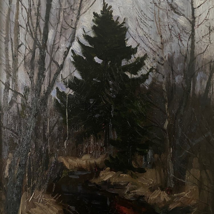 Huile sur carton par Stanislaw Zukowski ruisseau dans un sous-bois