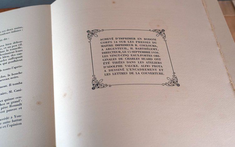 Gustave Flaubert, MADAME BOVARY, Usanze di provincia. Set completo