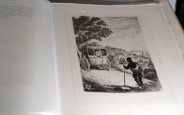 Gustave Flaubert, MADAME BOVARY, Usanze di provincia. Set completo