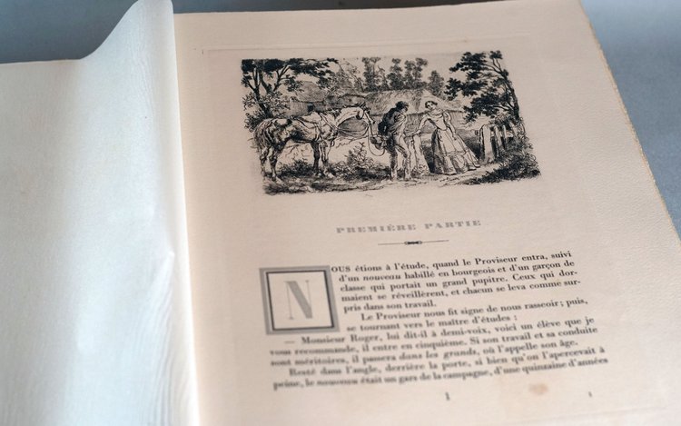 Gustave Flaubert, MADAME BOVARY, Usanze di provincia. Set completo