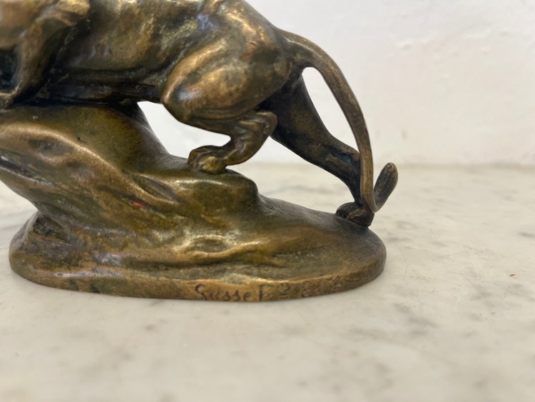 Scultura - Bronzo - Leone - Masson/susse Frs - Francia - XIX sec.