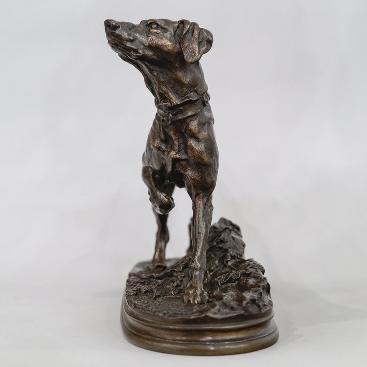 Scultura - Chien Braque Marly , Pierre - Jules Mêne (1810-1879) - Bronzo