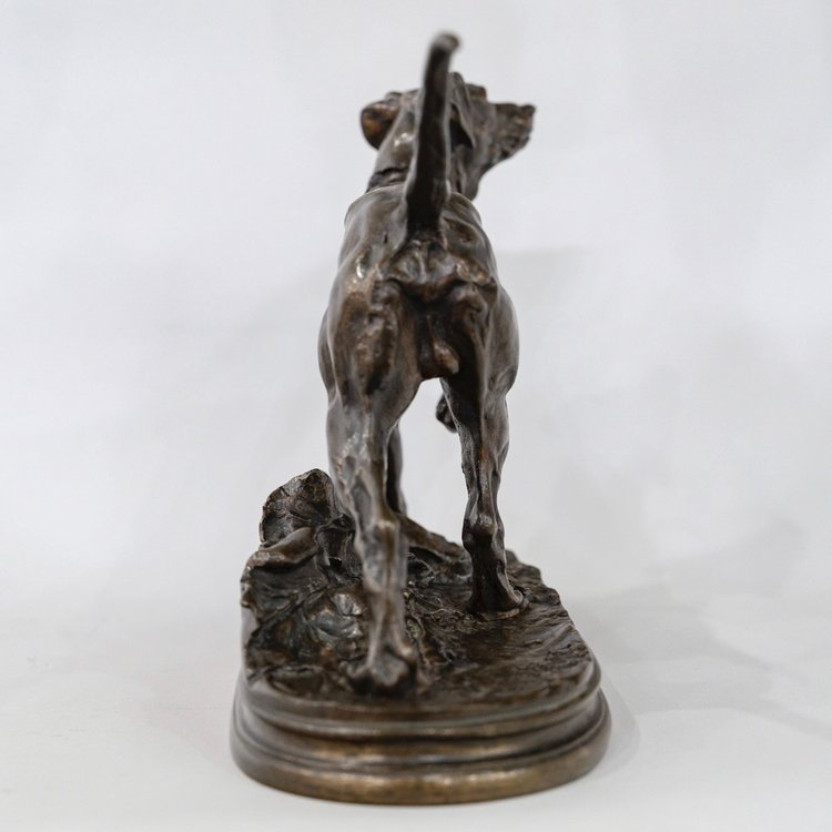 Scultura - Chien Braque Marly , Pierre - Jules Mêne (1810-1879) - Bronzo