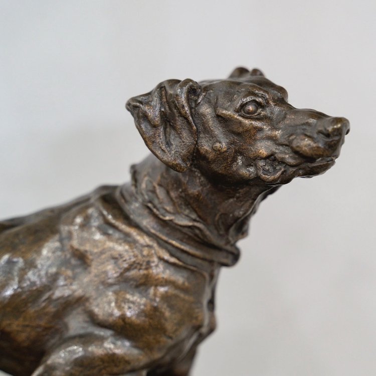 Scultura - Chien Braque Marly , Pierre - Jules Mêne (1810-1879) - Bronzo