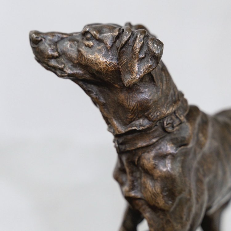 Scultura - Chien Braque Marly , Pierre - Jules Mêne (1810-1879) - Bronzo