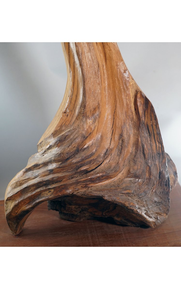 Etienne BALMADIER, detto "BALMA", scultura in legno
