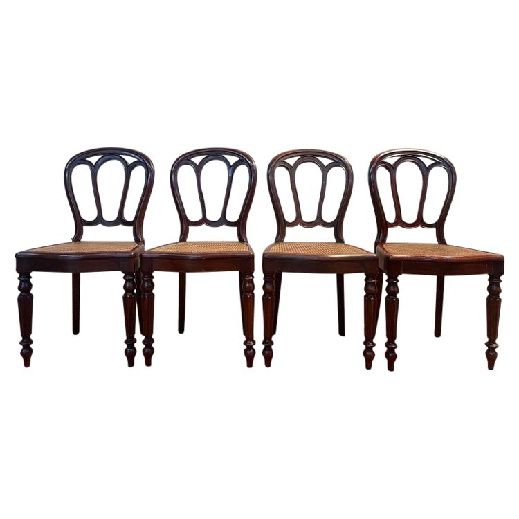 Suite de 4 chaises Louis Philippe cannées 