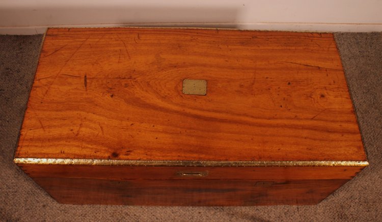 Cassapanca marina in legno di canfora del XIX secolo