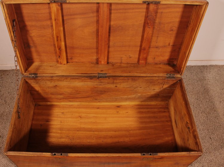 Cassapanca marina in legno di canfora del XIX secolo