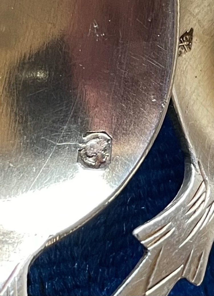 10 cucchiaini da moka.