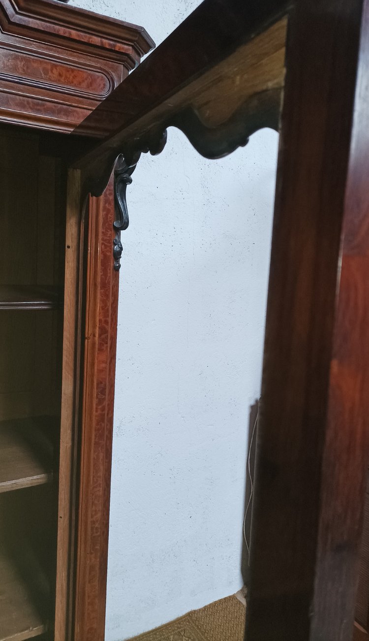 Libreria d'epoca di Napoleone III in radica di cedro