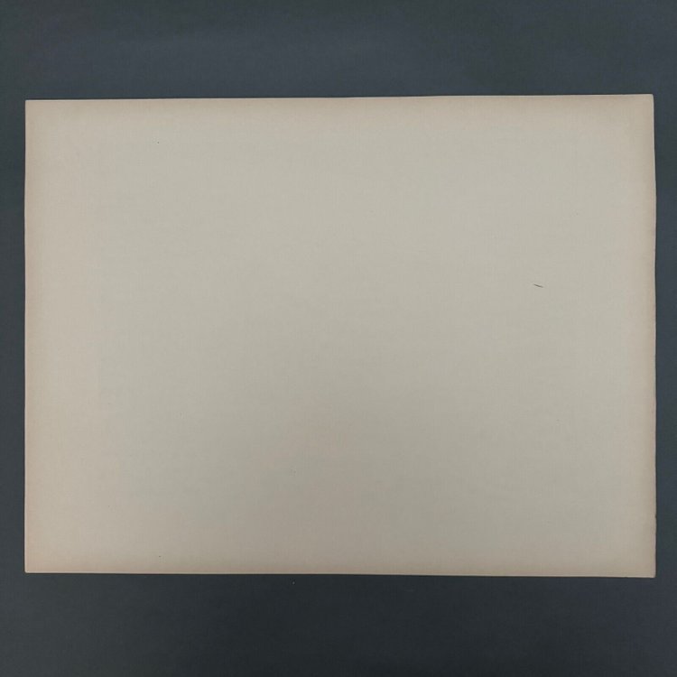 Lithographie par Henri Rivière Au Vent de Noroît - Les Mousses