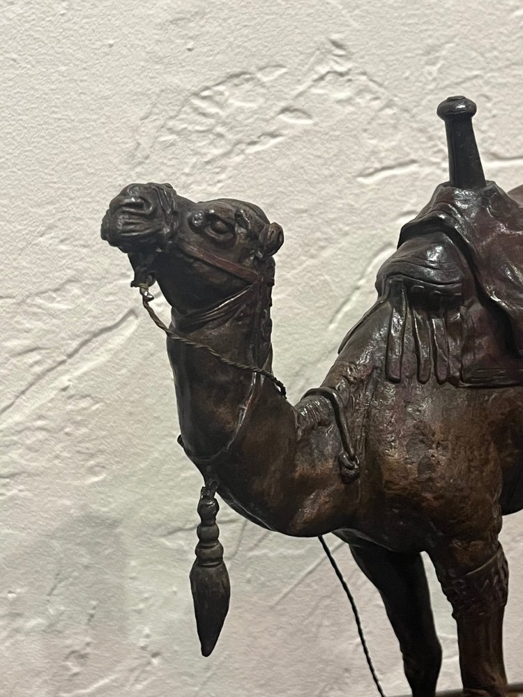 Scultura - Dromedario - Barye - Francia - XIX secolo