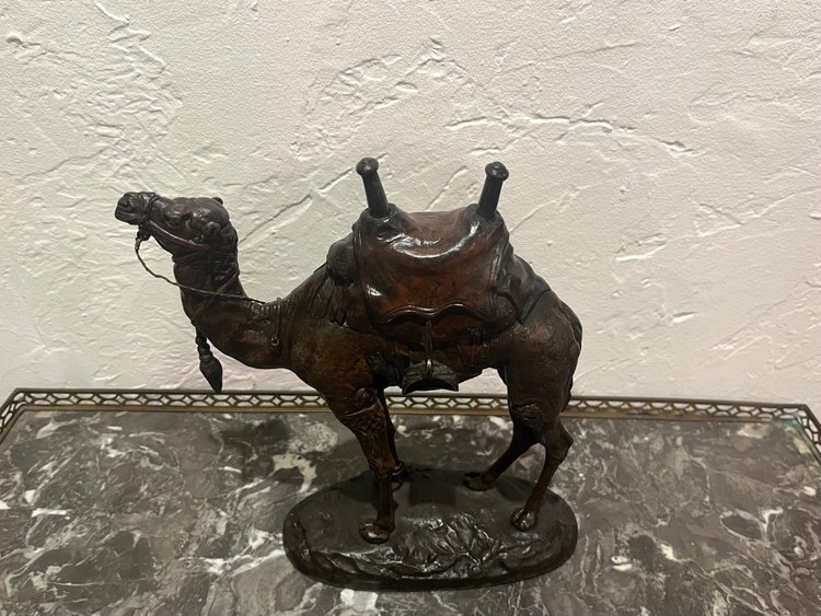 Scultura - Dromedario - Barye - Francia - XIX secolo