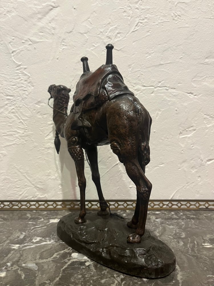 Scultura - Dromedario - Barye - Francia - XIX secolo
