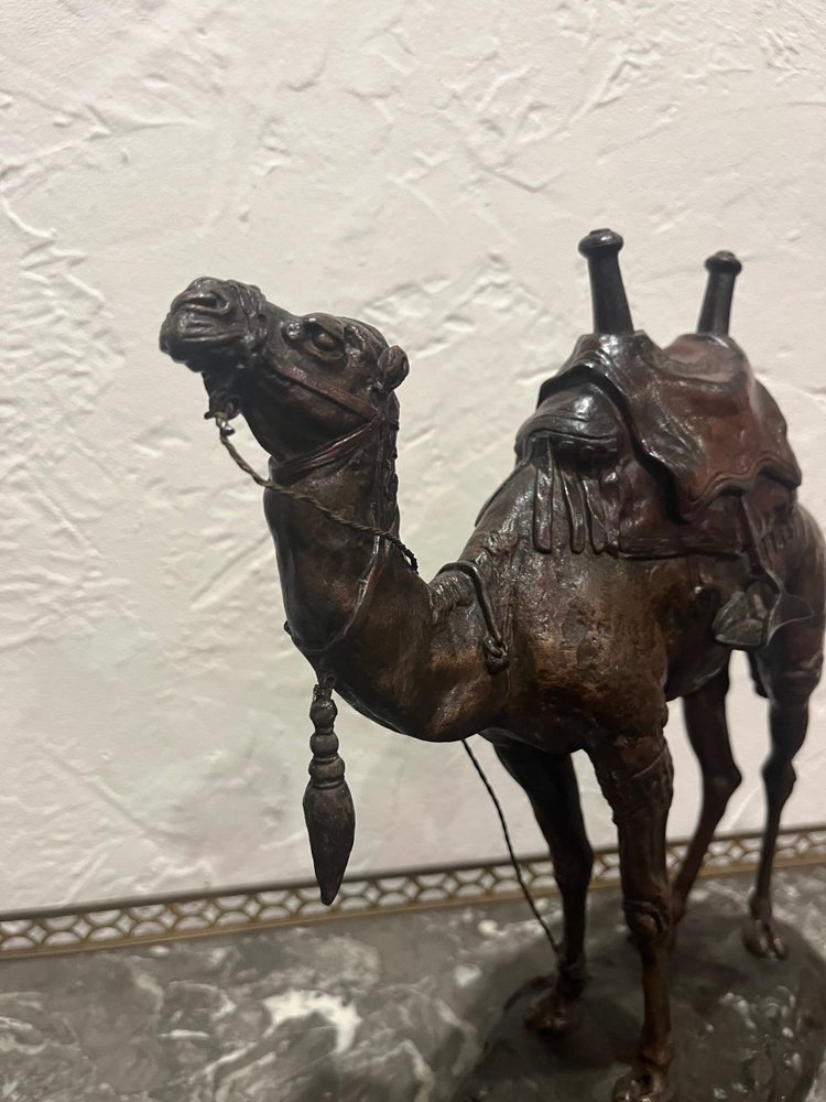 Scultura - Dromedario - Barye - Francia - XIX secolo