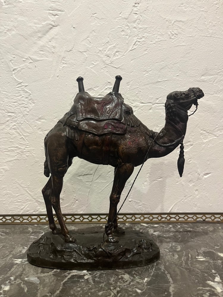 Scultura - Dromedario - Barye - Francia - XIX secolo